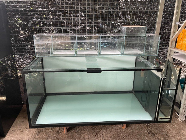 Custom aquarium build complete