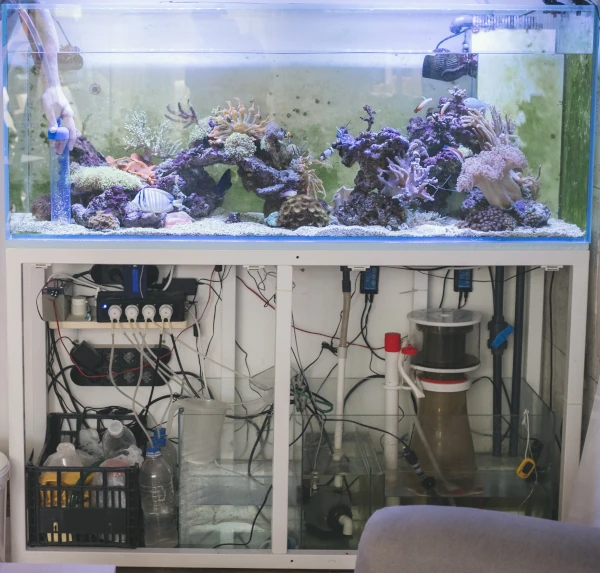 Fish tank equipment